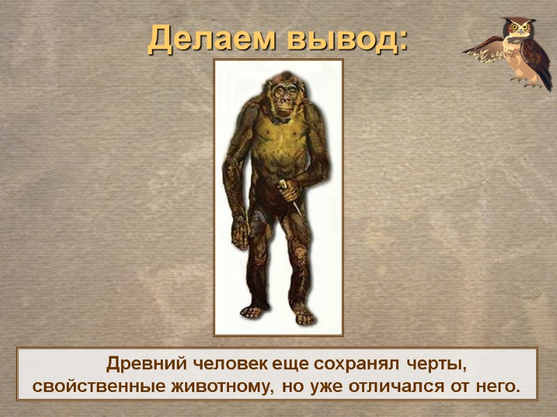 Делаем вывод:     Древний человек еще сохранял черты, свойственные животному, но